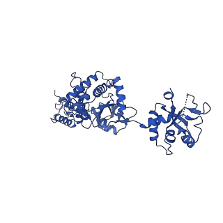 13342_7pds_B_v1-2
The structure of PriRep1 with dsDNA