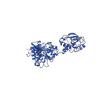 13342_7pds_C_v1-2
The structure of PriRep1 with dsDNA