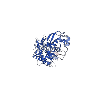 13342_7pds_D_v1-2
The structure of PriRep1 with dsDNA