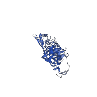 13342_7pds_E_v1-2
The structure of PriRep1 with dsDNA