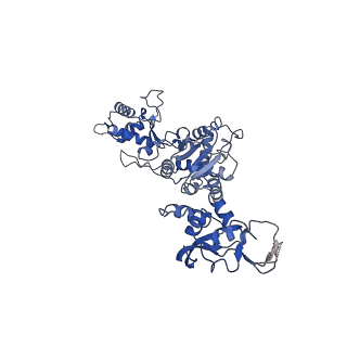 13342_7pds_F_v1-2
The structure of PriRep1 with dsDNA