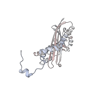13343_7pdz_F_v1-1
Structure of capping protein bound to the barbed end of a cytoplasmic actin filament