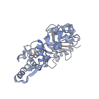 13343_7pdz_I_v1-1
Structure of capping protein bound to the barbed end of a cytoplasmic actin filament