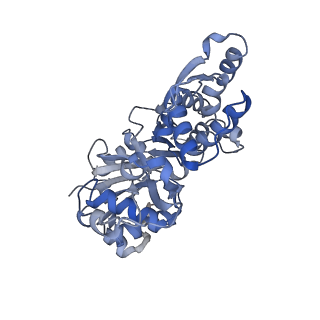 13343_7pdz_J_v1-1
Structure of capping protein bound to the barbed end of a cytoplasmic actin filament