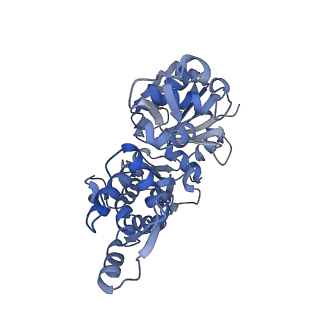 13343_7pdz_K_v1-1
Structure of capping protein bound to the barbed end of a cytoplasmic actin filament