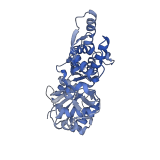 13343_7pdz_L_v1-1
Structure of capping protein bound to the barbed end of a cytoplasmic actin filament