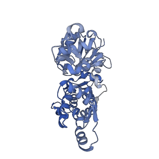 13343_7pdz_N_v1-1
Structure of capping protein bound to the barbed end of a cytoplasmic actin filament