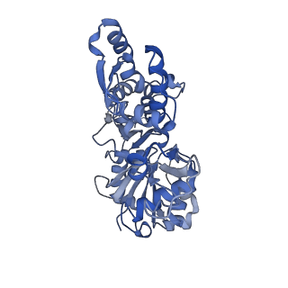 13343_7pdz_O_v1-1
Structure of capping protein bound to the barbed end of a cytoplasmic actin filament
