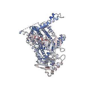 17605_8pd8_A_v1-1
cAMP-bound SpSLC9C1 in lipid nanodiscs, dimer