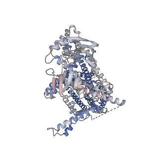 17605_8pd8_B_v1-1
cAMP-bound SpSLC9C1 in lipid nanodiscs, dimer