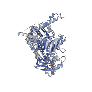 17607_8pd9_A_v1-1
cAMP-bound SpSLC9C1 in lipid nanodiscs, protomer state 1