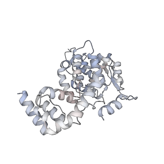 17615_8pdn_B_v1-0
Spiral of assembled human metapneumovirus (HMPV) N-RNA
