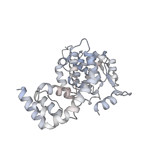 17615_8pdn_B_v1-1
Spiral of assembled human metapneumovirus (HMPV) N-RNA