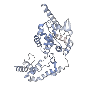 17615_8pdn_C_v1-0
Spiral of assembled human metapneumovirus (HMPV) N-RNA