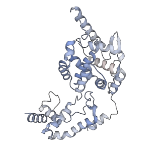 17615_8pdn_C_v1-1
Spiral of assembled human metapneumovirus (HMPV) N-RNA