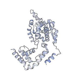 17615_8pdn_D_v1-0
Spiral of assembled human metapneumovirus (HMPV) N-RNA