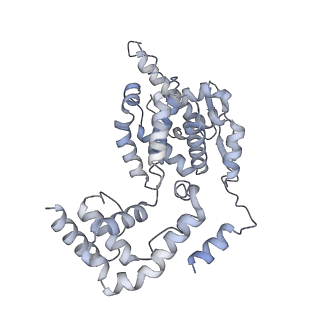 17615_8pdn_D_v1-1
Spiral of assembled human metapneumovirus (HMPV) N-RNA