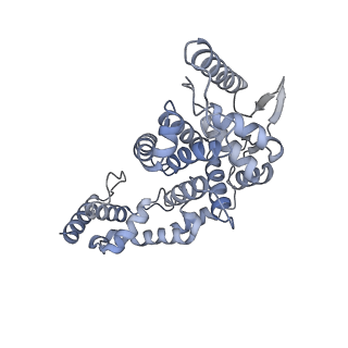 17615_8pdn_E_v1-0
Spiral of assembled human metapneumovirus (HMPV) N-RNA