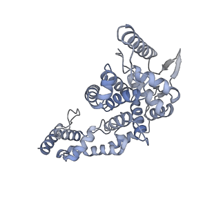 17615_8pdn_E_v1-1
Spiral of assembled human metapneumovirus (HMPV) N-RNA