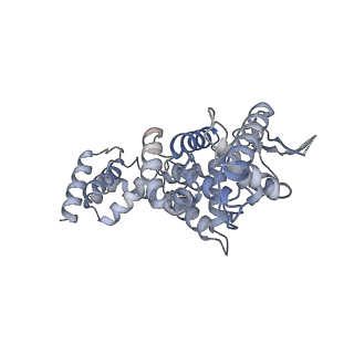17615_8pdn_F_v1-0
Spiral of assembled human metapneumovirus (HMPV) N-RNA