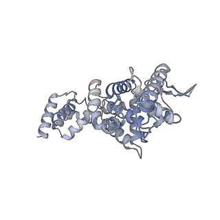 17615_8pdn_F_v1-1
Spiral of assembled human metapneumovirus (HMPV) N-RNA