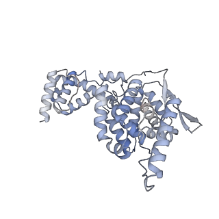 17615_8pdn_G_v1-0
Spiral of assembled human metapneumovirus (HMPV) N-RNA