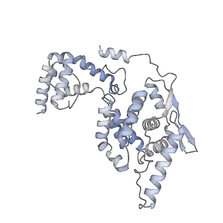 17615_8pdn_H_v1-0
Spiral of assembled human metapneumovirus (HMPV) N-RNA