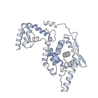 17615_8pdn_H_v1-1
Spiral of assembled human metapneumovirus (HMPV) N-RNA