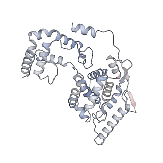 17615_8pdn_I_v1-0
Spiral of assembled human metapneumovirus (HMPV) N-RNA