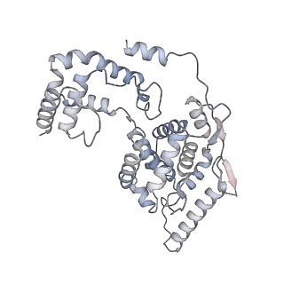 17615_8pdn_I_v1-1
Spiral of assembled human metapneumovirus (HMPV) N-RNA