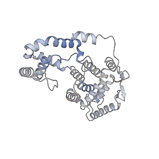 17615_8pdn_J_v1-0
Spiral of assembled human metapneumovirus (HMPV) N-RNA