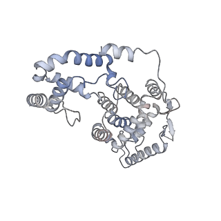 17615_8pdn_J_v1-1
Spiral of assembled human metapneumovirus (HMPV) N-RNA