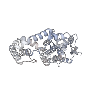 17615_8pdn_K_v1-0
Spiral of assembled human metapneumovirus (HMPV) N-RNA