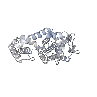 17615_8pdn_K_v1-1
Spiral of assembled human metapneumovirus (HMPV) N-RNA