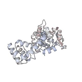 17615_8pdn_L_v1-0
Spiral of assembled human metapneumovirus (HMPV) N-RNA