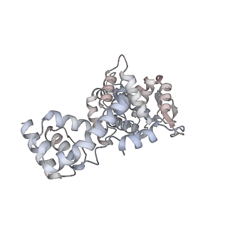 17615_8pdn_L_v1-1
Spiral of assembled human metapneumovirus (HMPV) N-RNA