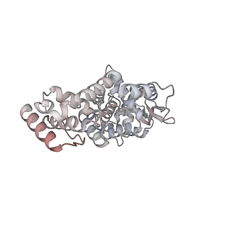 17619_8pdr_A_v1-0
Rigid body fit of assembled HMPV N-RNA spiral bound to the C-terminal region of P
