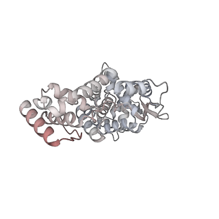 17619_8pdr_A_v1-1
Rigid body fit of assembled HMPV N-RNA spiral bound to the C-terminal region of P