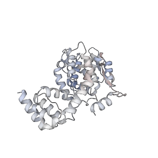 17619_8pdr_B_v1-1
Rigid body fit of assembled HMPV N-RNA spiral bound to the C-terminal region of P