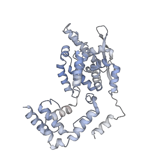 17619_8pdr_C_v1-1
Rigid body fit of assembled HMPV N-RNA spiral bound to the C-terminal region of P