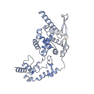 17619_8pdr_D_v1-0
Rigid body fit of assembled HMPV N-RNA spiral bound to the C-terminal region of P