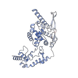 17619_8pdr_D_v1-1
Rigid body fit of assembled HMPV N-RNA spiral bound to the C-terminal region of P