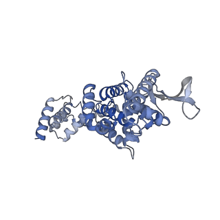 17619_8pdr_F_v1-0
Rigid body fit of assembled HMPV N-RNA spiral bound to the C-terminal region of P
