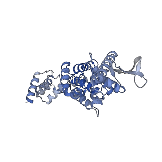 17619_8pdr_F_v1-1
Rigid body fit of assembled HMPV N-RNA spiral bound to the C-terminal region of P