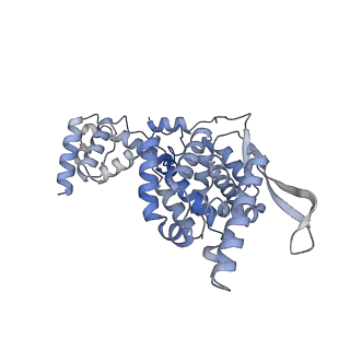 17619_8pdr_G_v1-1
Rigid body fit of assembled HMPV N-RNA spiral bound to the C-terminal region of P