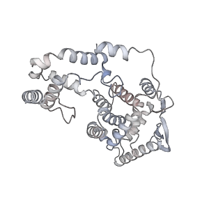 17619_8pdr_J_v1-0
Rigid body fit of assembled HMPV N-RNA spiral bound to the C-terminal region of P