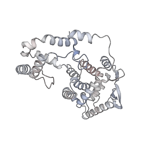 17619_8pdr_J_v1-1
Rigid body fit of assembled HMPV N-RNA spiral bound to the C-terminal region of P