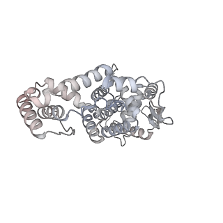 17619_8pdr_K_v1-0
Rigid body fit of assembled HMPV N-RNA spiral bound to the C-terminal region of P