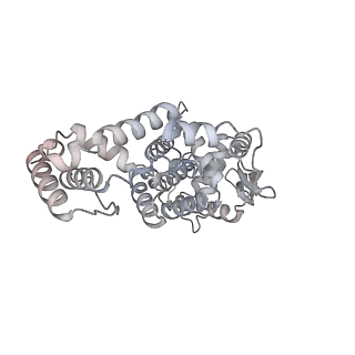 17619_8pdr_K_v1-1
Rigid body fit of assembled HMPV N-RNA spiral bound to the C-terminal region of P