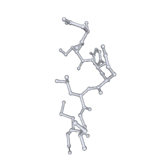 17619_8pdr_P_v1-1
Rigid body fit of assembled HMPV N-RNA spiral bound to the C-terminal region of P